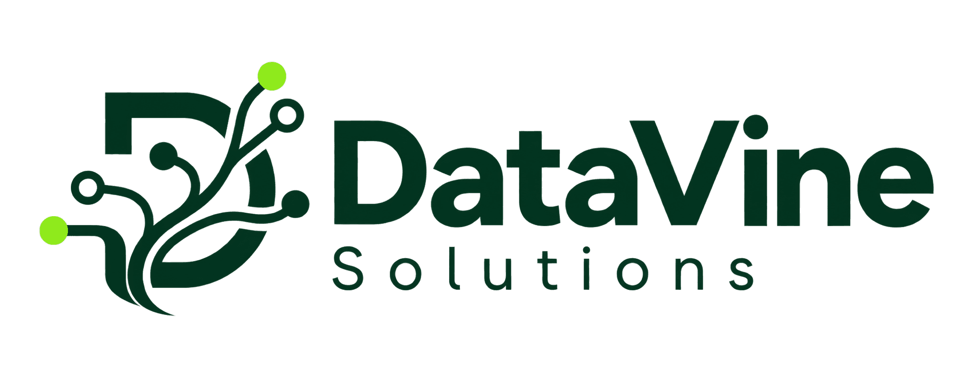 DataVine Solutions